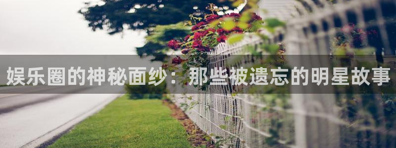 太阳成集团tyc9728：娱乐圈的神秘面纱：那些被遗忘的明星故事