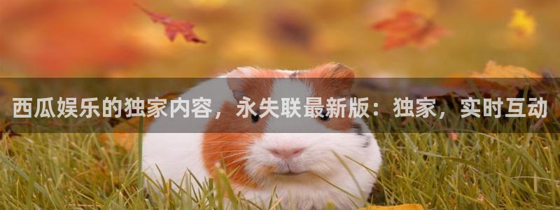 太阳成集团tyc9728：西瓜娱乐的独家内容，永失联最新版：独家，实时互动
