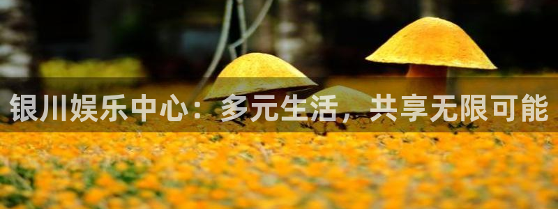 太阳成集团tyc9728：银川娱乐中心：多元生活，共享无限可能