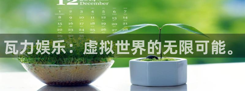 太阳成集团tyc9728：瓦力娱乐：虚拟世界的无限可能。