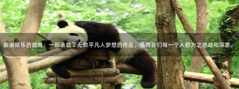 太阳成集团tyc9728：新浪娱乐的微博：一部承载了无数平凡人梦想的作品，值得我们每一个人都为之感动和深思。