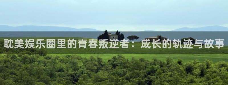 太阳成集团tyc9728：耽美娱乐圈里的青春叛逆者：成长的轨迹与故事